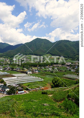 山梨縣甲州市勝沼鎮Hishizan風景 山梨縣甲州市勝沼鎮Hishizan風景 25066820