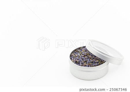 Lavender: Lavender Lavender: Lavender 25067346