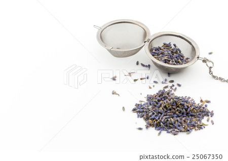 薰衣草:薰衣草 薰衣草:薰衣草 25067350