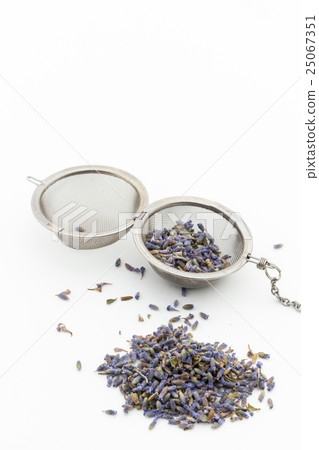 薰衣草：薰衣草 25067351