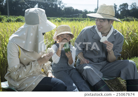Rice farm family Rice farm family 25067674