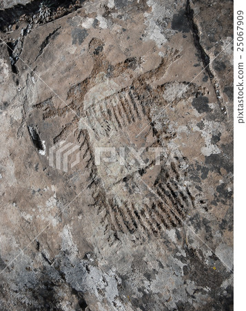 Palaeolithic unknown object Petroglyph 25067909