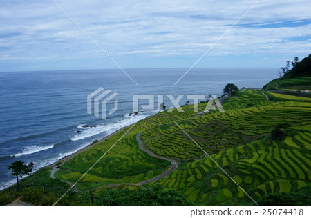 夏天的日本海和1000個潮汐 夏天的日本海和1000個潮汐 25074418