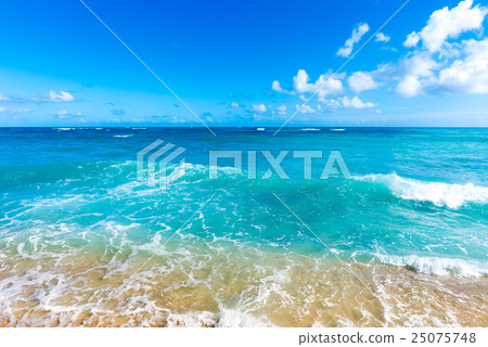 Sea Sea 25075748