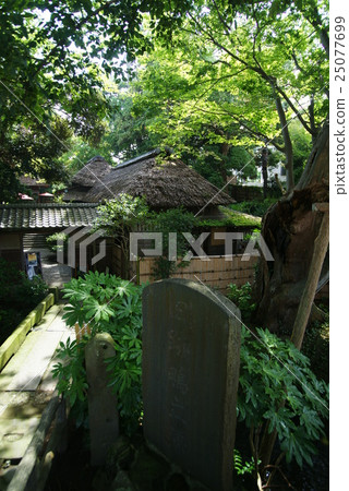 The place where the name of Shonan was born. The place where the name of Shonan was born. 25077699