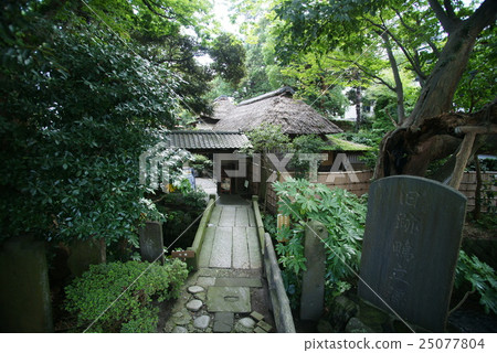 The place where the name of "Shonan" originated. 25077804