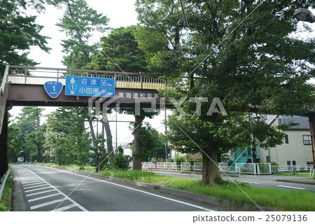 東海道的松樹 東海道的松樹 25079136