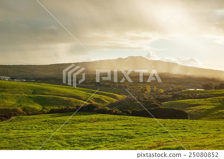 Green landscape with coming rain 25080852