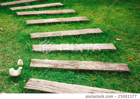 Footpath on the green grass 25081377