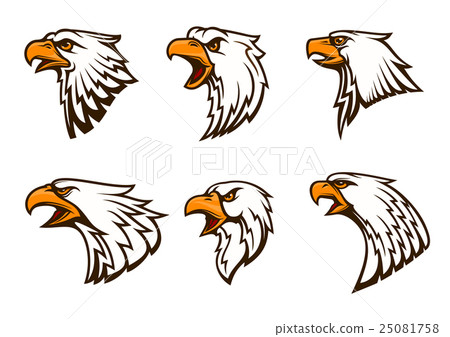 Bald Eagle vector emblems set Bald Eagle vector emblems set 25081758