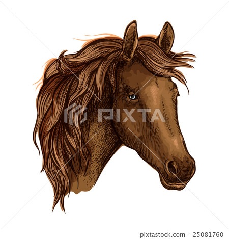 Brown graceful sad horse portrait Brown graceful sad horse portrait 25081760