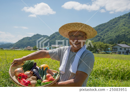 收穫蔬菜的微笑的前輩 收穫蔬菜的微笑的前輩 25083951