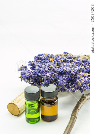 富良野薰衣草形象 富良野薰衣草形象 25084208