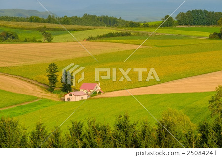 Shou Biei (454) Shou Biei (454) 25084241