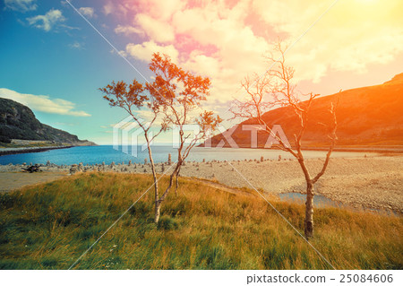 Rocky sea coast with trees. Fjord at sunset light. 25084606