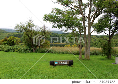 Rishiri Island Otatomari Swamp Hokkaido 25085522