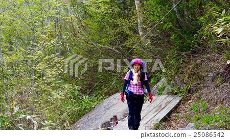 三培通觀岩 三培通觀岩 25086542