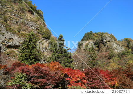 秋葉時期的老Iwadoya 25087734