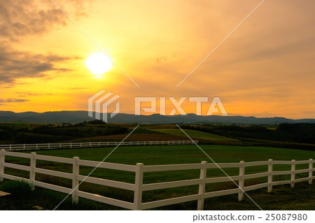 Shogo Biei（467） 25087980