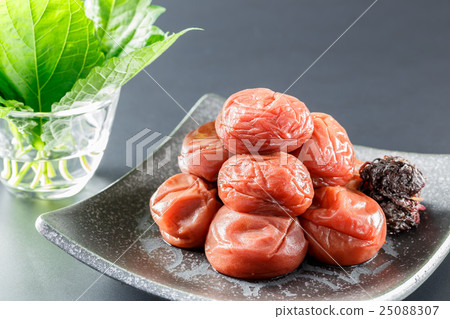 Umeboshi Kishu Minabe Minami Takumi Umeboshi Kishu Minabe Minami Takumi 25088307