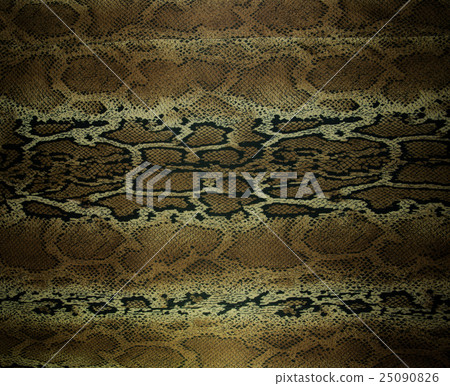 texture of fabric stripes snake leather texture of fabric stripes snake leather 25090826