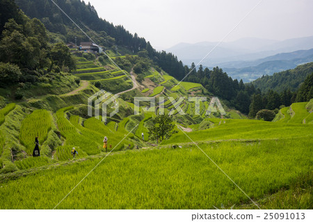 Tanada of Izumiya (Izumiya Uchikocho Ehime prefecture) 25091013