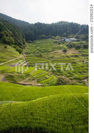 Tanada of Izumiya (Izumiya Uchikocho Ehime prefecture) Tanada of Izumiya (Izumiya Uchikocho Ehime prefecture) 25091014