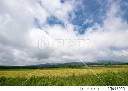 大草原和雲 25092953