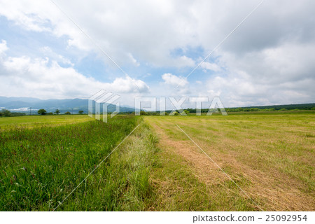 Prairie and clouds 25092954