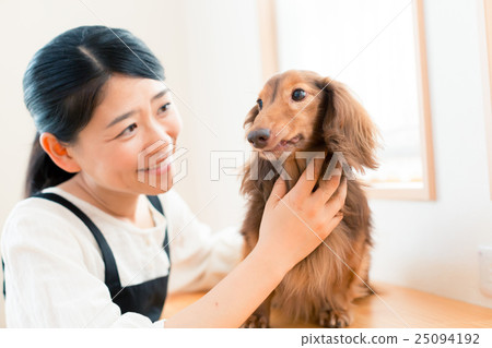 dog, dogs, pet 25094192