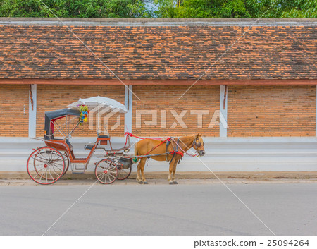 The carriage designed for private passenger. The carriage designed for private passenger. 25094264