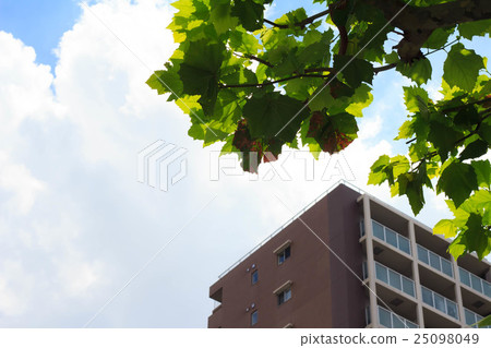 Apartment and blue sky Apartment and blue sky 25098049