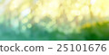 sunrise in the morning forest painting blurred 25101676