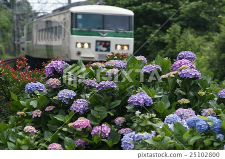 The railway and summer of the four seasons 25102800