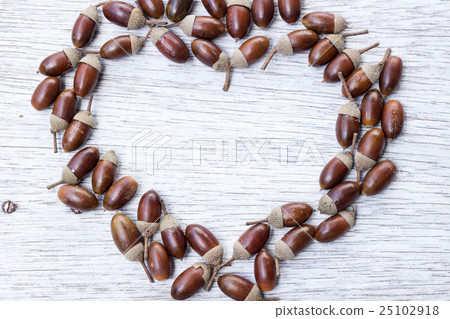 橡子秋季心形框架 25102918