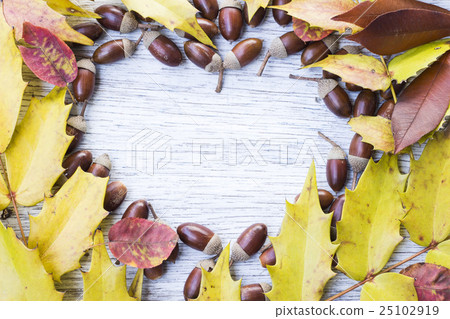 橡子和下落的葉子秋天心形的框架 25102919