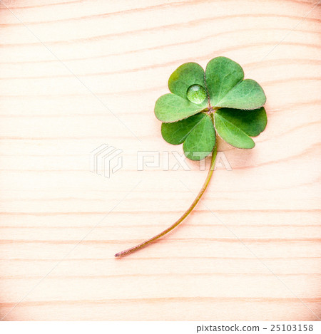 lovers leaves on wooden background . lovers leaves on wooden background . 25103158