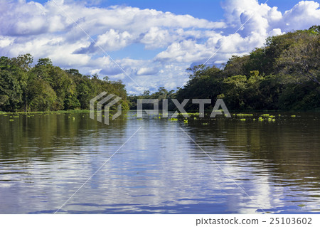 去亞馬遜河 25103602