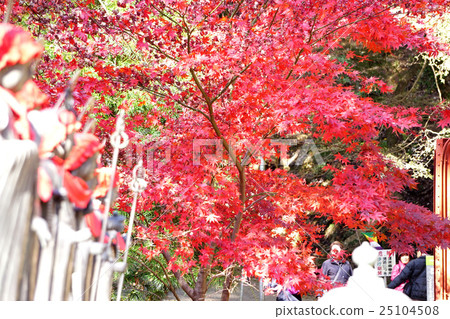 Rainyama山寺廟的秋葉 Rainyama山寺廟的秋葉 25104508
