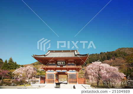 Katsuoji櫻花景觀藍天回來 25104989