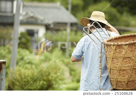 Country life image Country life image 25108626