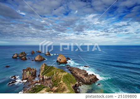 Nugget Point, New Zealand 25109800