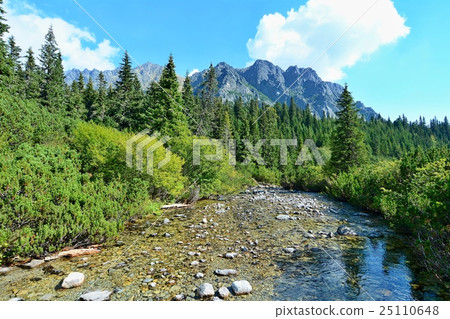 Nature of High Tatras mountain in Slovakia. Nature of High Tatras mountain in Slovakia. 25110648