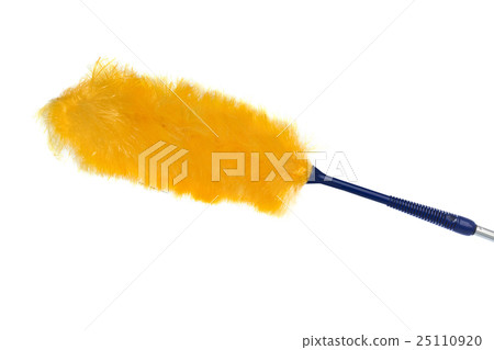 Whisk dust 25110920