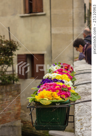 flowers in a pot on the edge of the bridge flowers in a pot on the edge of the bridge 25110963