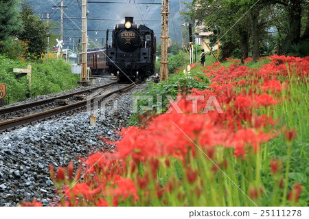Chichibu Railway “Higanbana and SL Paleo Express after the rain” Chichibu Railway “Higanbana and SL Paleo Express after the rain” 25111278