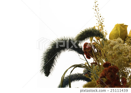 dried flowers 25111439