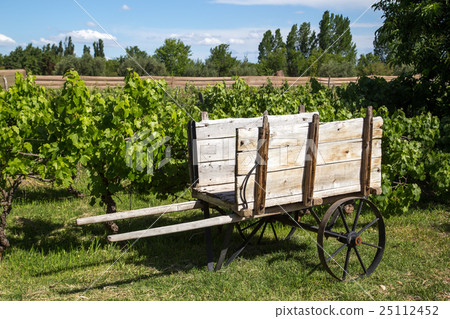 Wooden cart on a vineyard 25112452