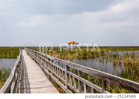 Khao Sam Roi Yod National Park, Thailand. 25114569