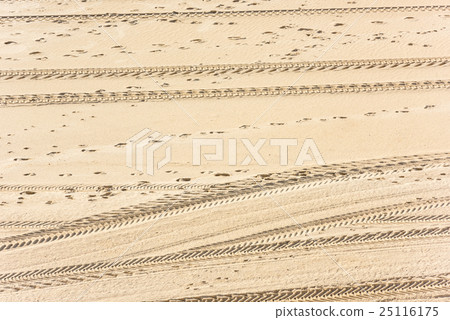 Traces of cars on the sand Traces of cars on the sand 25116175